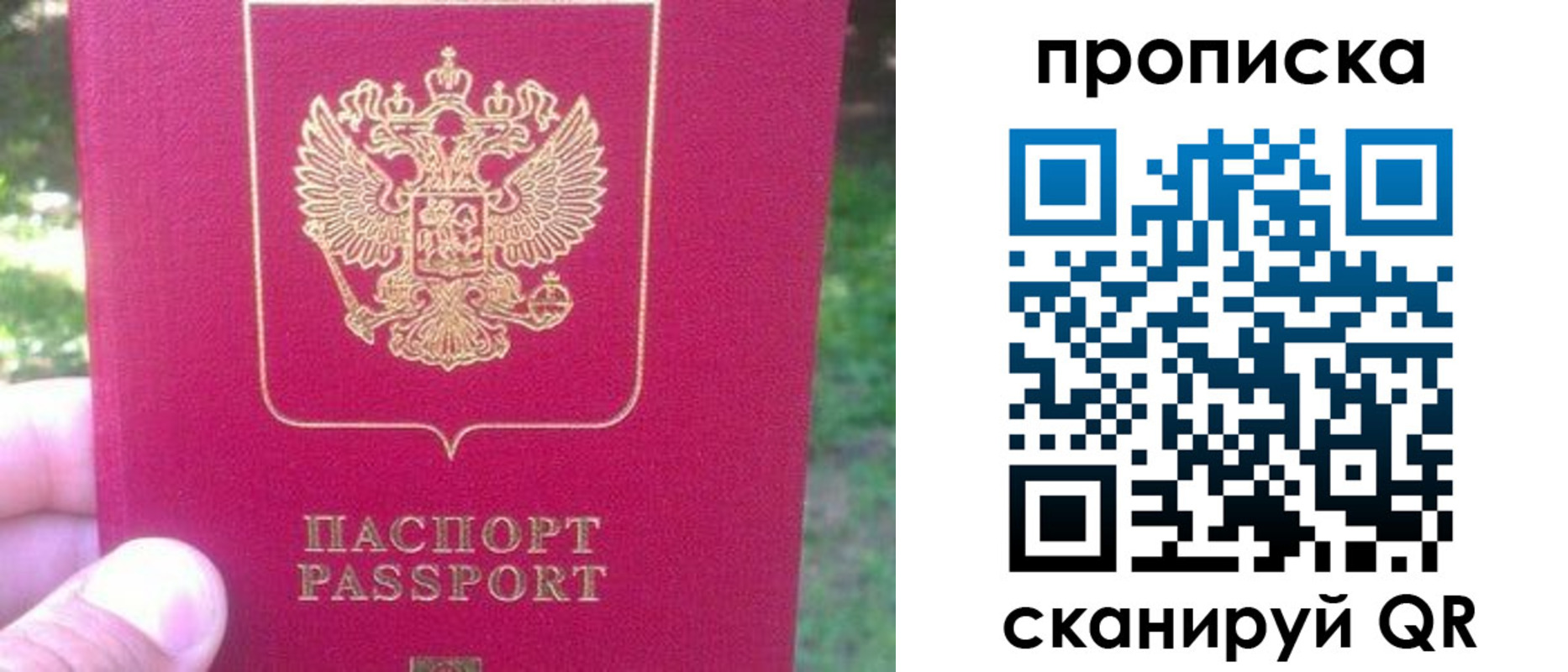 прописка законно в Михайловске
